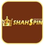 Shah Spin Game